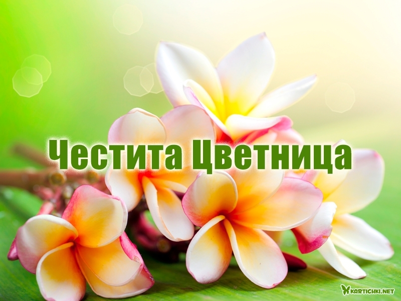 Честита Цветница