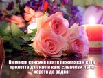 Пожелания за Цветница и Връбница