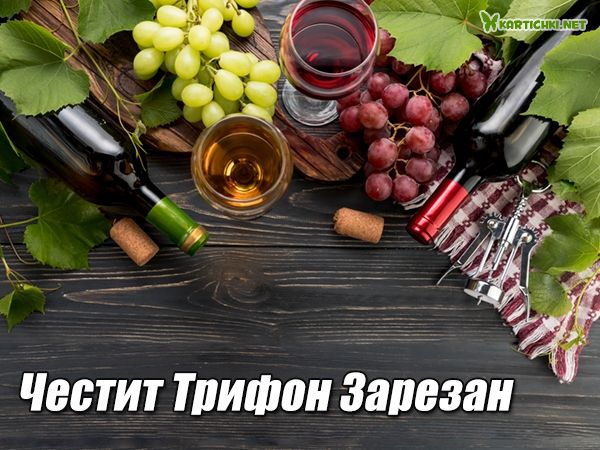 Картичка с вино и грозде за Трифон Зарезан