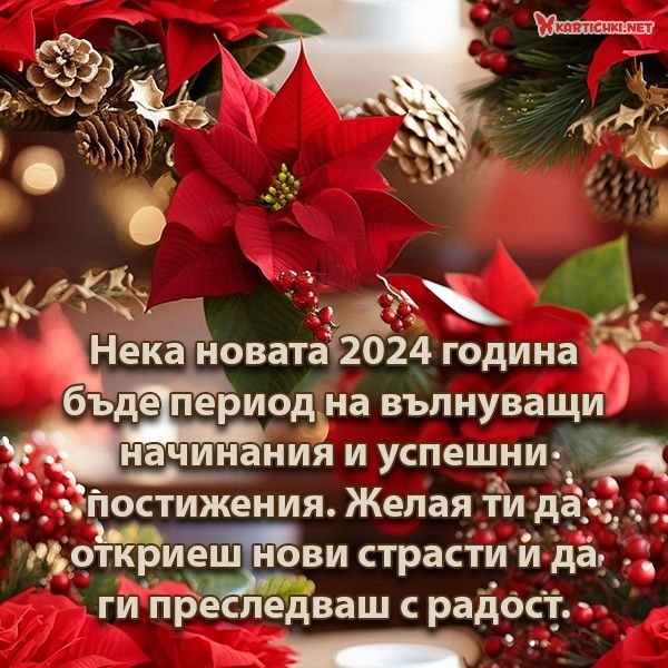 Пожелание за новата 2024 година